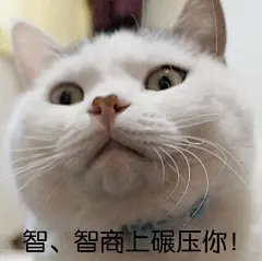 二哈表情包_百度图片搜索