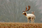 Photograph lean on me... by Mark Bridger on 500px