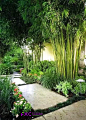 私家庭院小径设计欣赏植物和小路的完美搭配 - 今日头条(TouTiao.org)