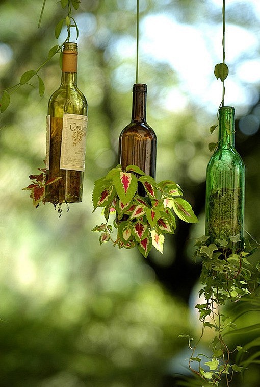 悬吊在空中的酒瓶盆栽
