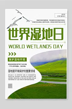 世界湿地日保护湿地环境海报