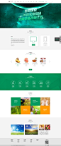 官网首页-网页设计-生态农业-三河湾实业集团