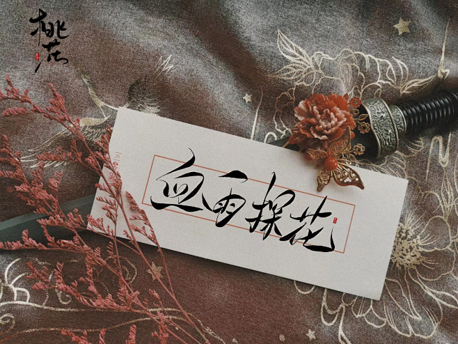 手写菊花体血雨探花关注抱图