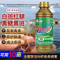 白对虾_百度图片搜索
