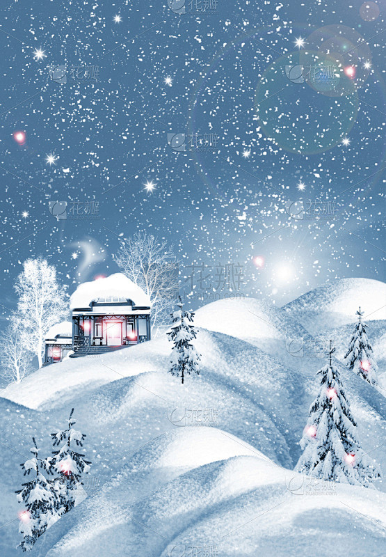 冬天,森林,格林威治村,寒冷,贺卡,一月,霜,雪,云杉,杉树