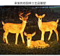 户外仿真动物灯梅花鹿模型玻璃钢雕塑长颈鹿摆件大型落地发光装饰-淘宝网