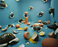 Korean Artist Transforms Her Small Studio Into Beautiful Dream Worlds - Imgur