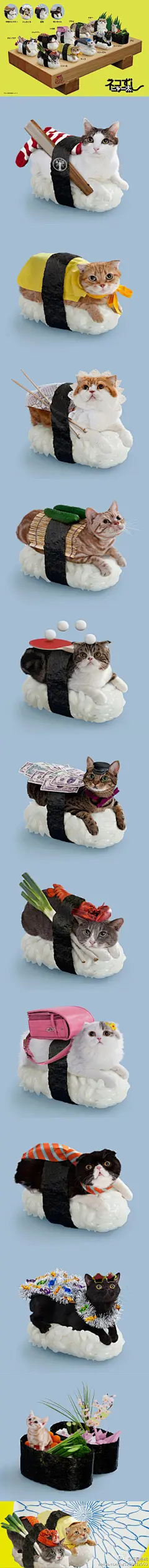 Sushi Cats (Neko-Sushi) 是来自日本Tange &amp; Nakimushi公司的一系列摄影作品。这些猫在寿司上面休息是不是很可爱呢？同时公司还设计并发布了iPhone和Android手机的寿司猫的应用程序。提供照片及明信片冲印，当然只限日本！http://lianqingbo.blog.163.com/blog/static/1272118201342010020332/#摄影##日本##寿司##宠物##可爱#