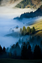 Fog and Autumn Colors in the French Alps