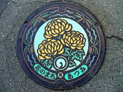 神风怪盗呆采集到井盖及消防栓装饰