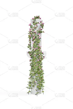 粉红色的玫瑰，枝丫缠绕着一根垂直的方形杆子