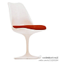 郁金香椅——郁金香椅(Tulip Side Chair) 是沙里宁Eero Saarinen最经典的作品之一，设计于1957年，采用塑料和铝两种材料，由于圆足的特点，不会压坏地面。这些形式是仔细考虑生产技术和人体姿势才获得的，并不是故作离奇，它们的自由形式是其功能的产物，并与某种新材料、新技术联系在一起。