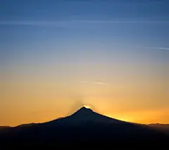 ivvi手机壁纸贴图