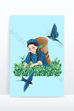 二十四节气谷雨采茶人物燕子茶园图片
