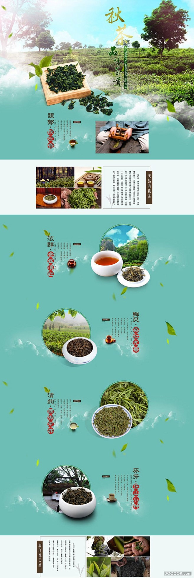 品牌茶叶网店首页设计.jpg