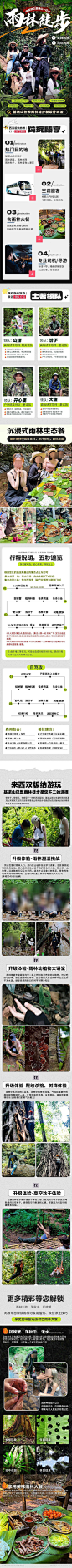 云南旅游详情页_源文件下载_PSD格式_790X17317像素-雨林,徒步,亲子,旅游,西双版纳,云南,详情页-作品编号:2024060314374470-志设-zs9.com