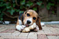 undefined - VCG41149719413