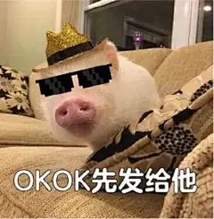 猪猪【中国有嘻哈】表情包_猪猪【中国有嘻哈】表情包下载_猪猪【中国有嘻哈】动态gif表情图-4399聊天表情包大全