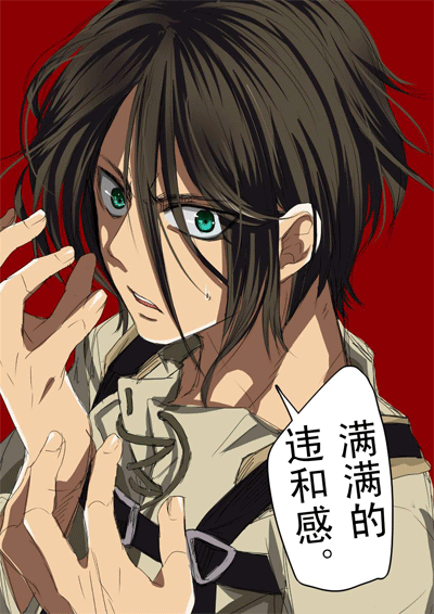 艾伦q