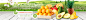 电商设计 网页设计  水果 牛油果 柠檬 黑提 红提 火龙果 奇异果 首页设计 水果页面 水果素材