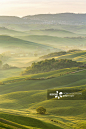 早晨,丘陵起伏地形,山谷,雾,农业正版图片素材