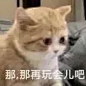 发疯抽象小猫表情包_16