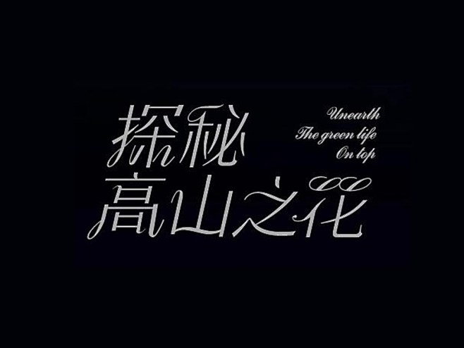 探秘高山之花