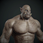 Orc Work in progress, Placido Obama : some wips