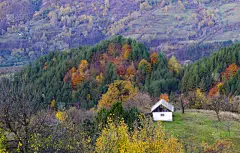 古老的,地形,秋天,房屋,自然美,水平画幅,山,无人,户外,针叶树