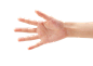 手势png (4)