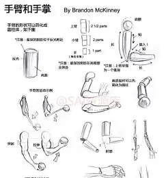 动漫人物的全面绘画参考、五官、人体比例、手臂和手掌绘画思路