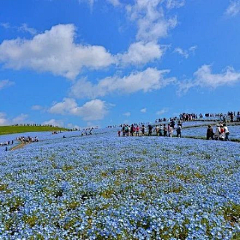 零零柒summer采集到美丽景致