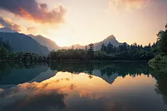 采集图片