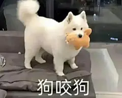 贱兮兮的欠揍表情包 •̆₃•̑_05