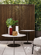 Minotti 茶几 边几 场景图