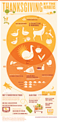 Thanksgiving by the Numbers on Behance