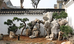 图江米_qq采集到植物配置