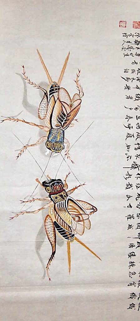 蟋蟀