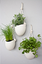 2014 set of 3 porcelain and cotton rope hanging planters-f53266.jpg (1000×1500)