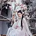 忆玉兰花下
知竹作品
