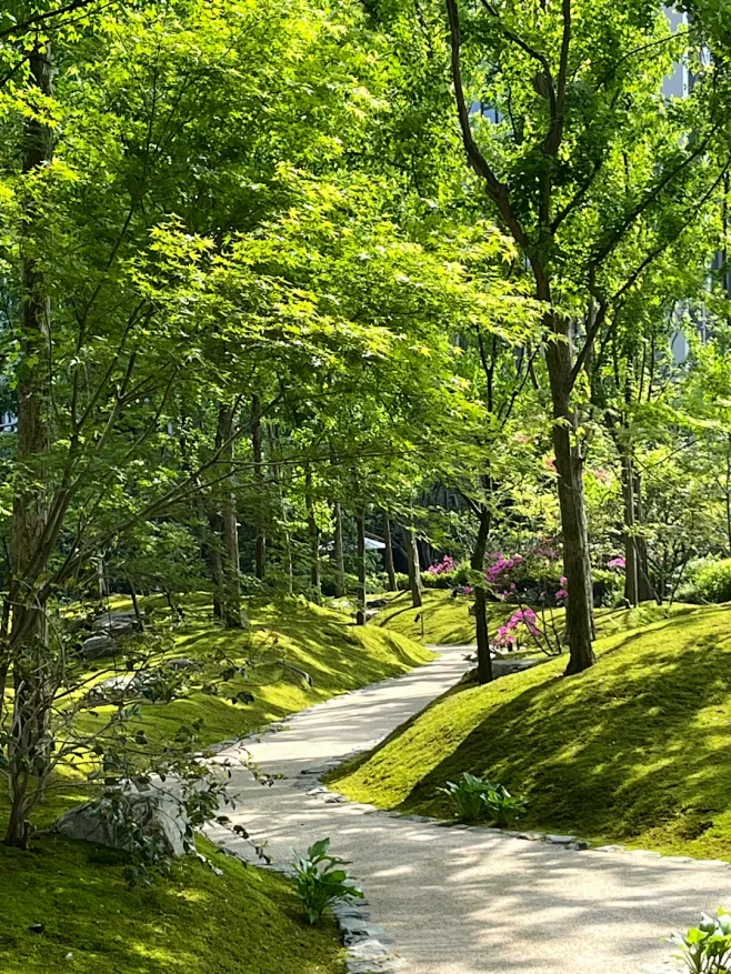 杭州顶级豪宅的春和景明｜观云钱塘 - 小...