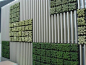 planted wall. Maybe do this to make container buildings semi-attractive.