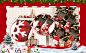 154899ce-5cb1-4208-9310-6e15901c10c2