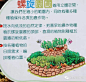 DIY螺旋形香草花园 Spiral Herb Garden-花园俱乐部-大不六文章网(wtoutiao.com)