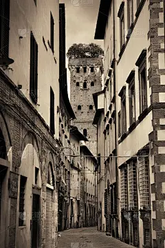 卢卡街景_5164196176