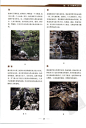 中国园林图解词典_42
