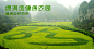 【玉林绿满地健康农园】——健康自然而来 - 北京壹度创意旅游策划,创意农业|观光农业|休闲农业|旅游策划专家