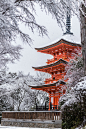 sortra:

Amazing Colors of Kyoto by Takahiro Bessho
