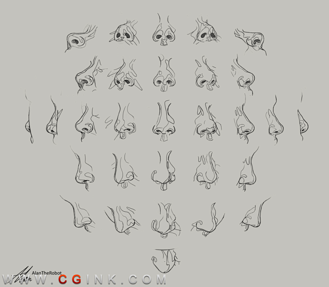 30_nose_angles_guide...