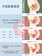 v2-13e9789cd0e04b6062480b25dd318cbd_r